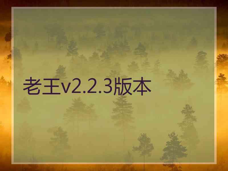 老王v2.2.3版本