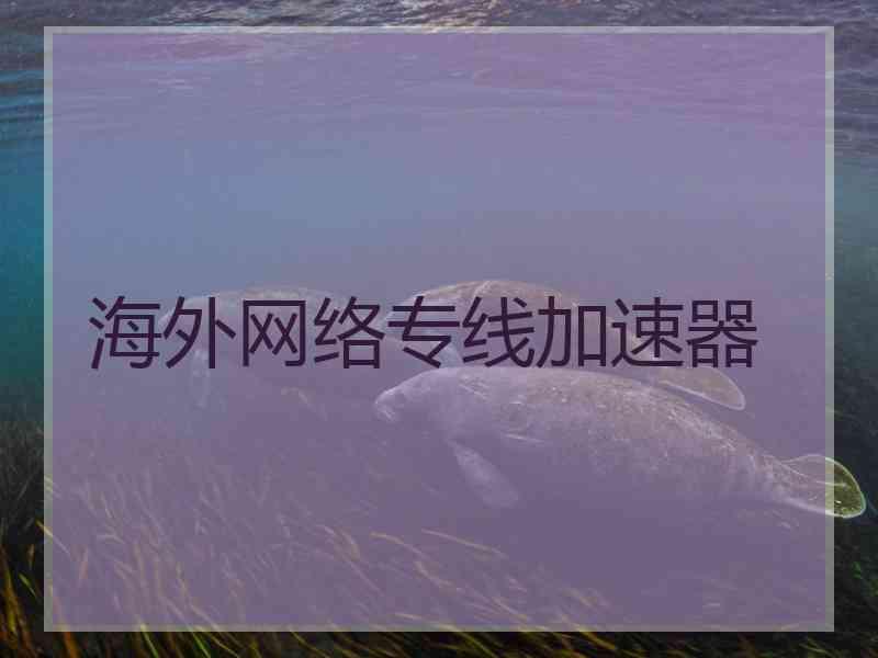 海外网络专线加速器