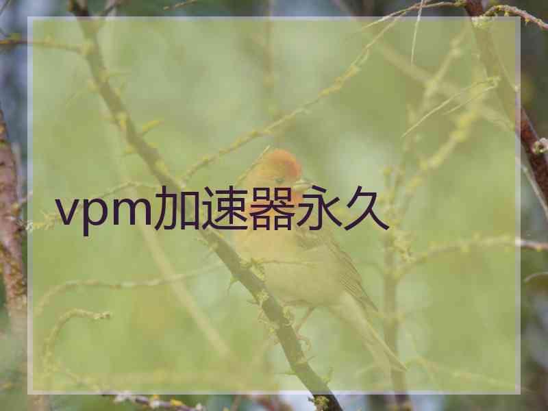 vpm加速器永久