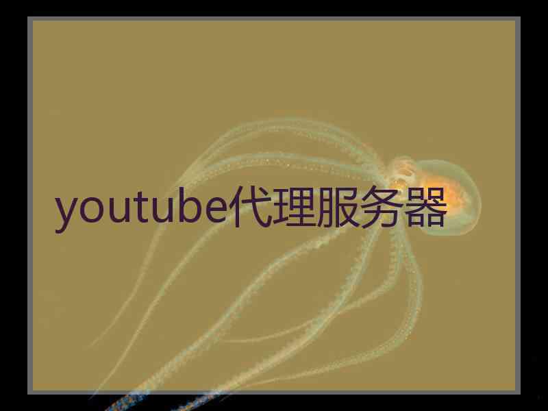 youtube代理服务器