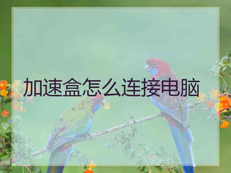 加速盒怎么连接电脑