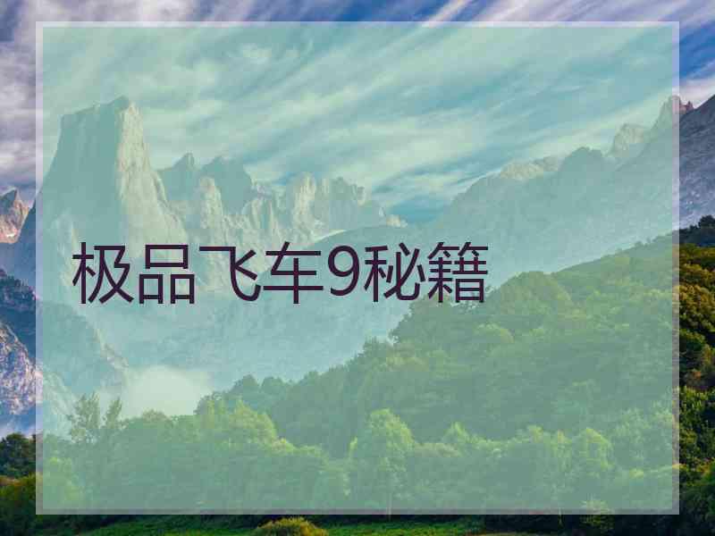 极品飞车9秘籍