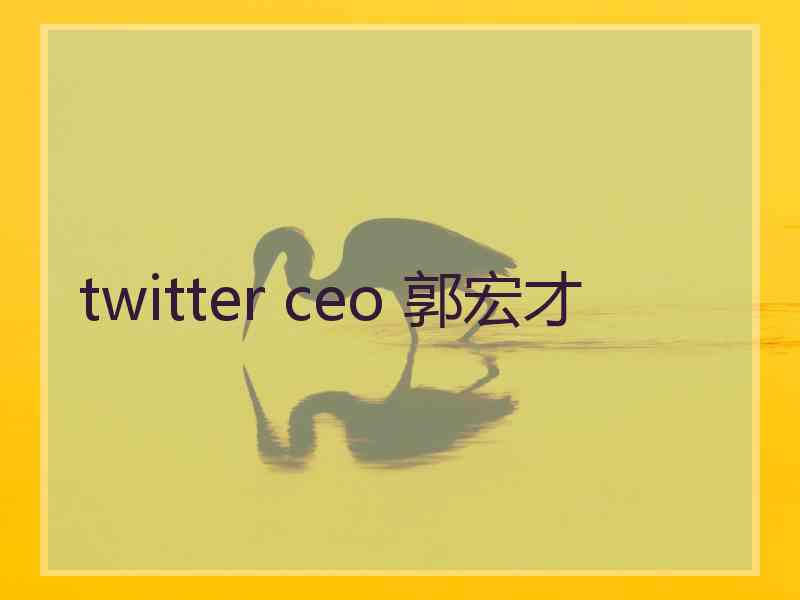 twitter ceo 郭宏才