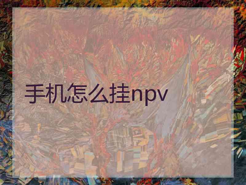 手机怎么挂npv