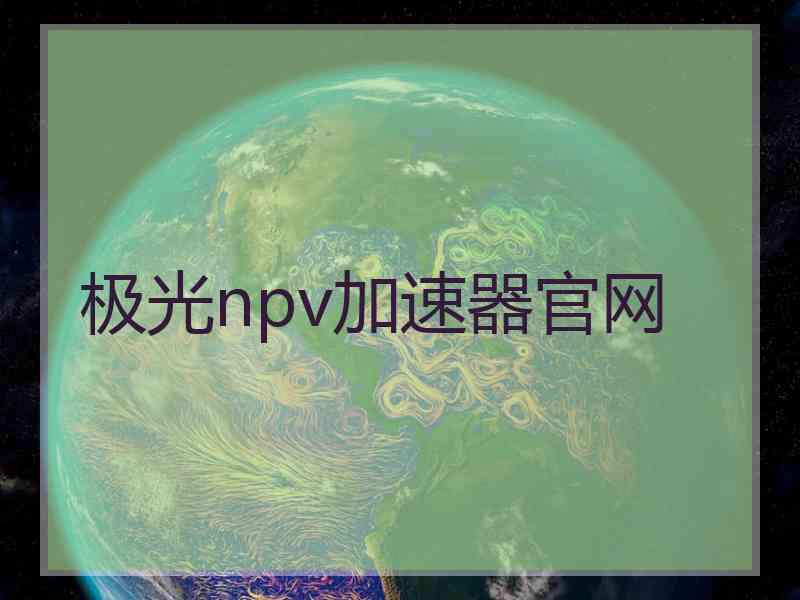 极光npv加速器官网