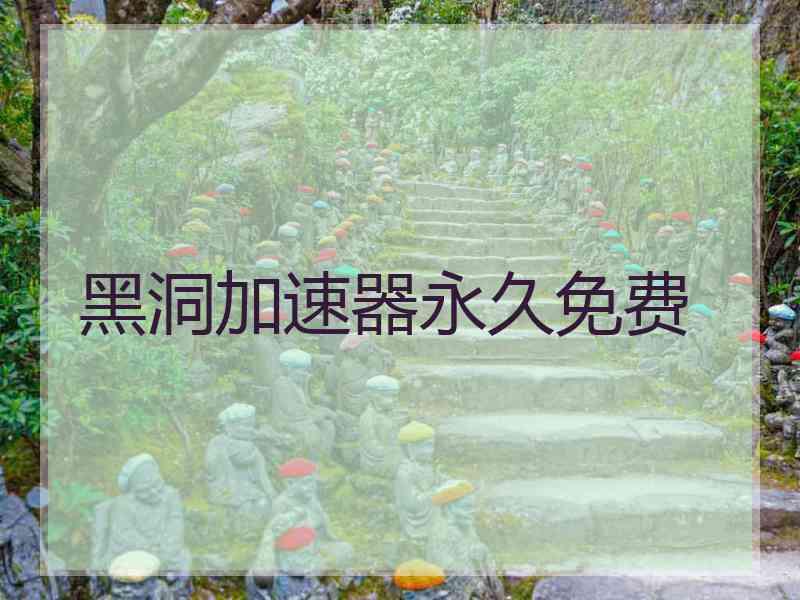 黑洞加速器永久免费