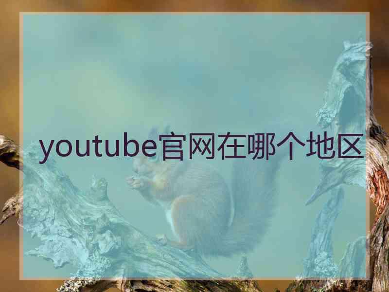 youtube官网在哪个地区