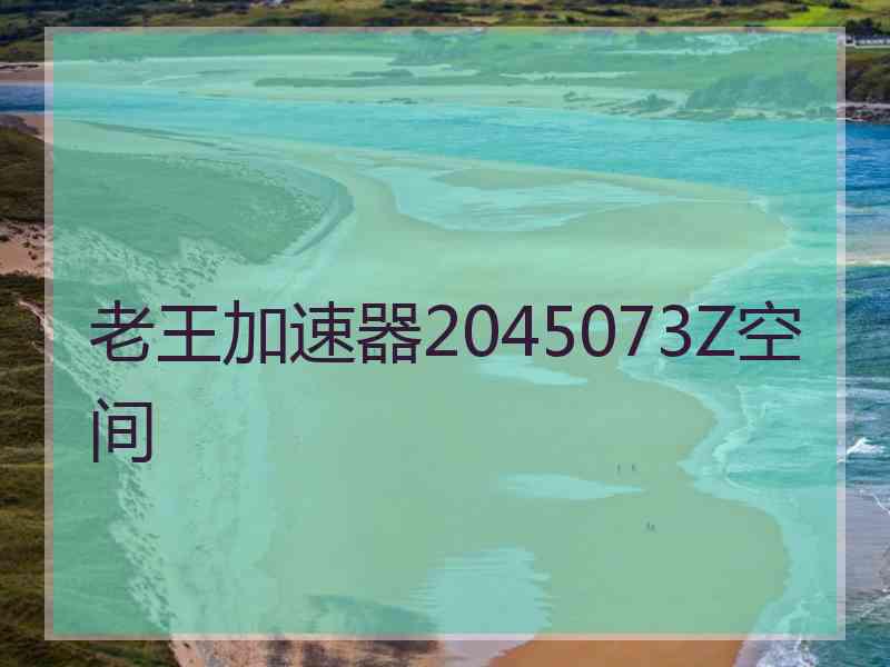 老王加速器2045073Z空间