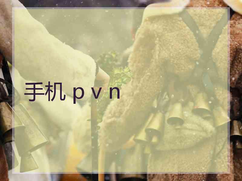 手机 p v n