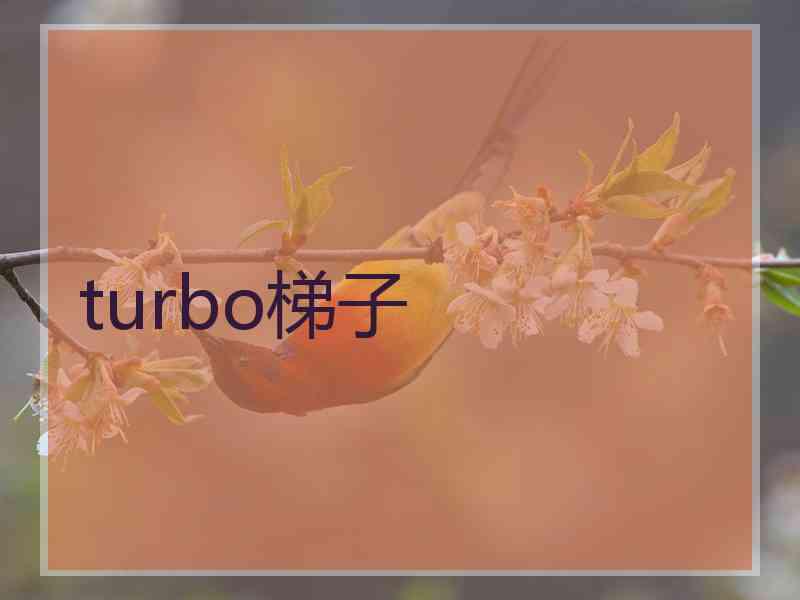 turbo梯子