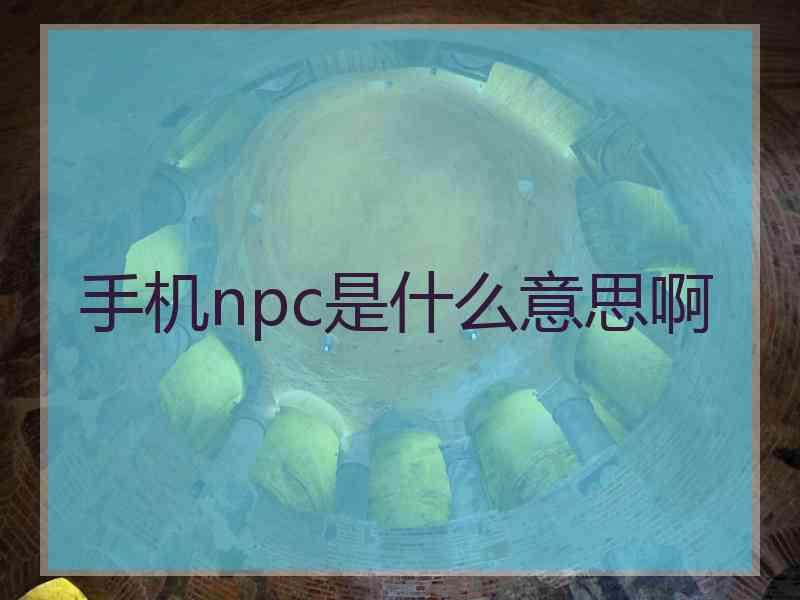 手机npc是什么意思啊