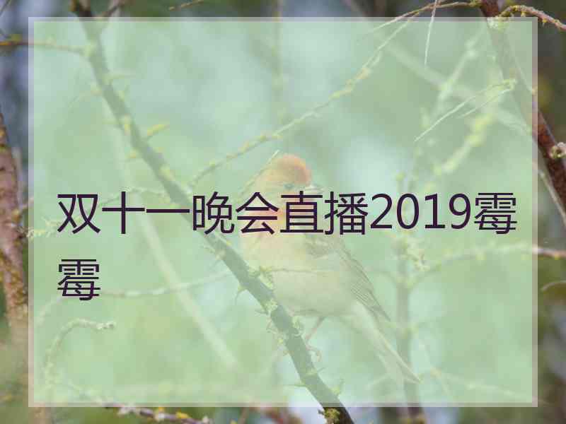 双十一晚会直播2019霉霉