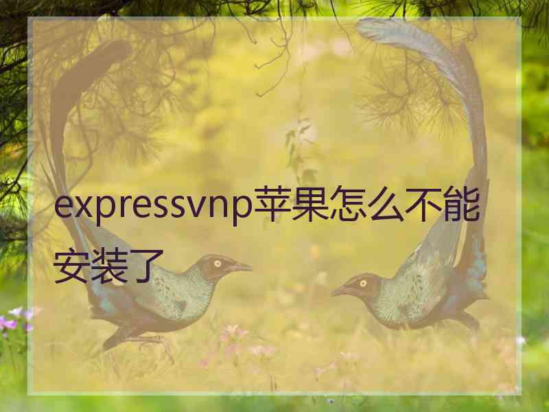 expressvnp苹果怎么不能安装了