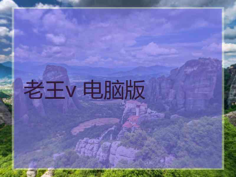 老王v 电脑版