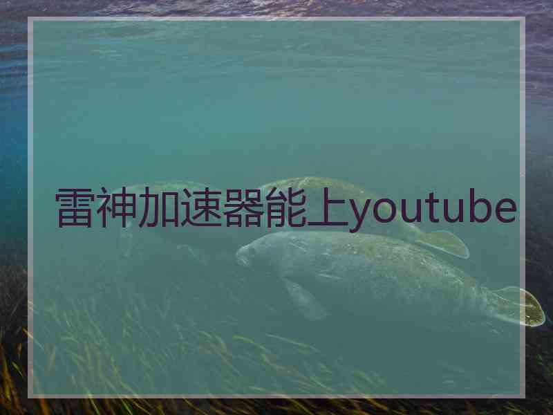 雷神加速器能上youtube