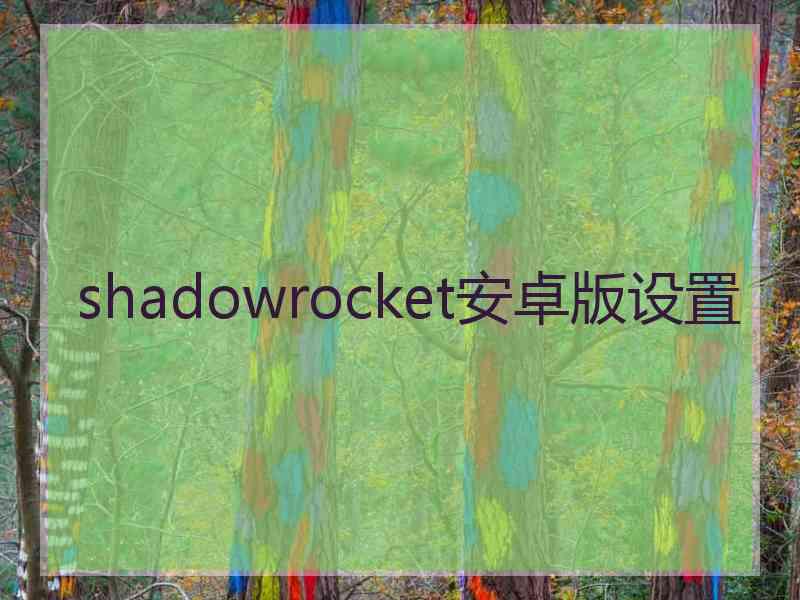 shadowrocket安卓版设置