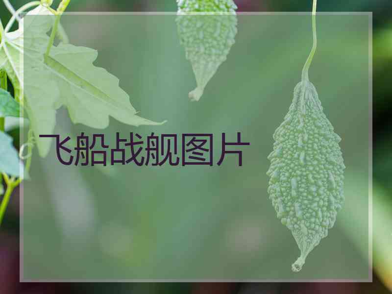 飞船战舰图片