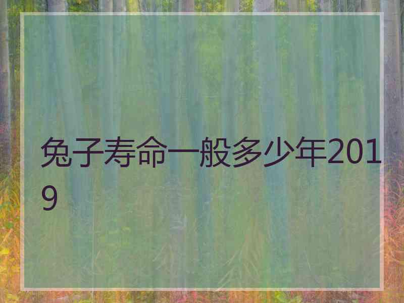 兔子寿命一般多少年2019