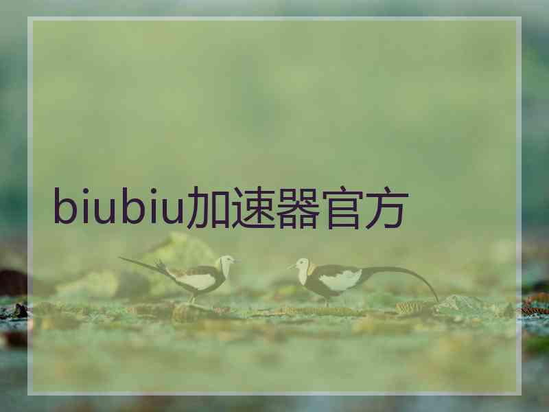 biubiu加速器官方