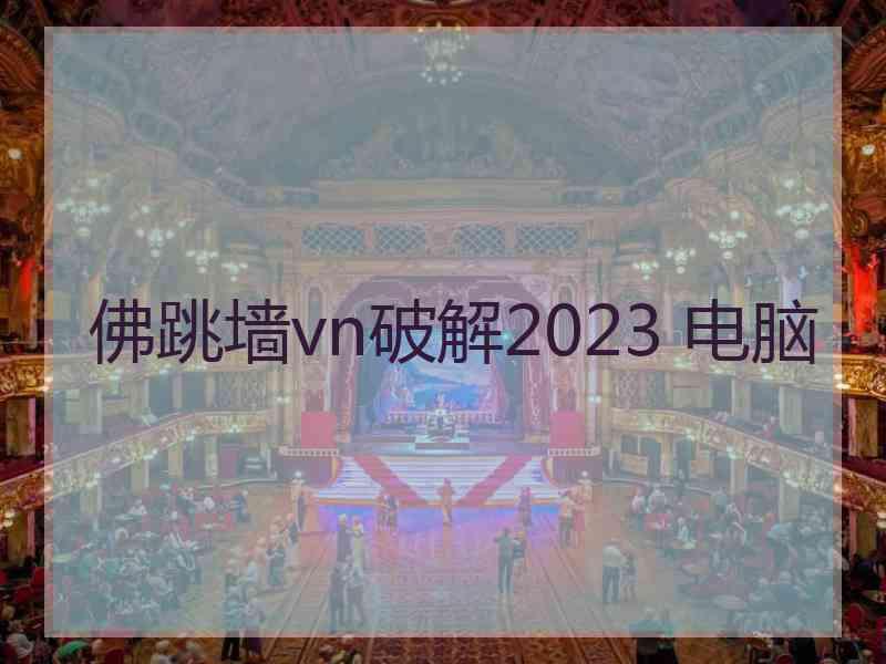 佛跳墙vn破解2023 电脑