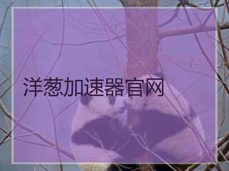 洋葱加速器官网