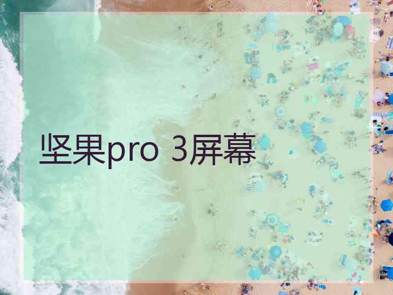 坚果pro 3屏幕