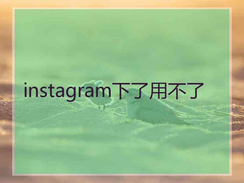 instagram下了用不了