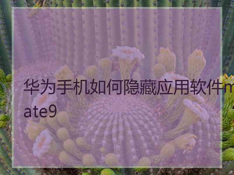 华为手机如何隐藏应用软件mate9