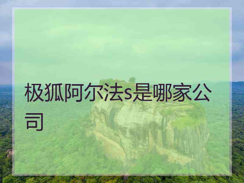 极狐阿尔法s是哪家公司
