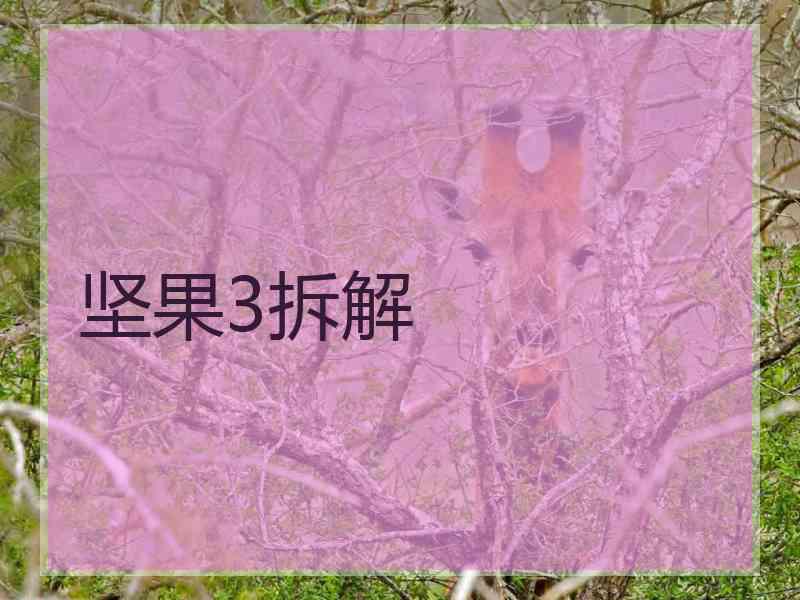 坚果3拆解