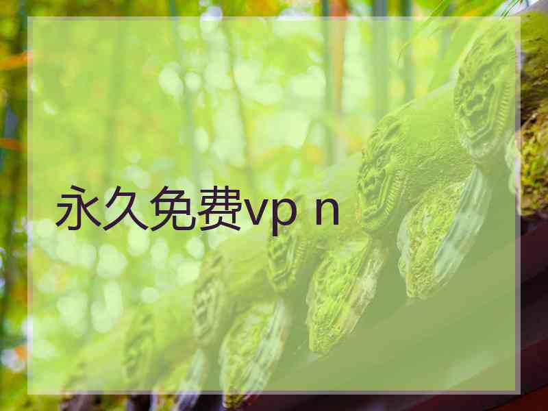 永久免费vp n