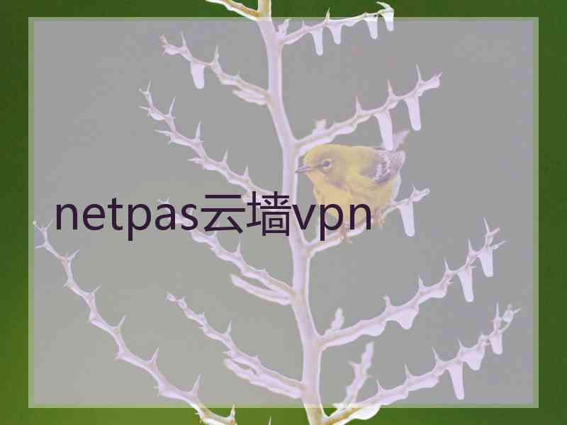 netpas云墙vpn