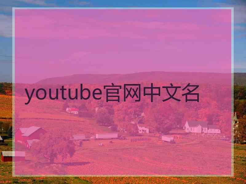 youtube官网中文名