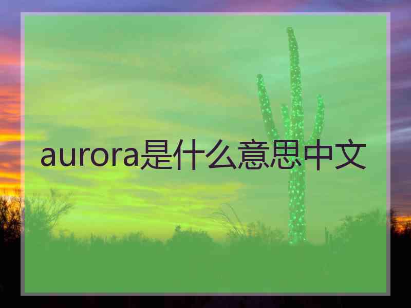 aurora是什么意思中文