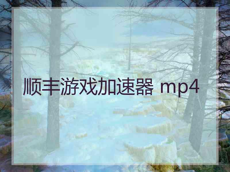 顺丰游戏加速器 mp4