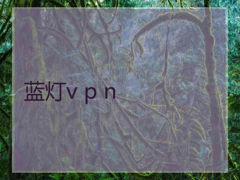 蓝灯v p n