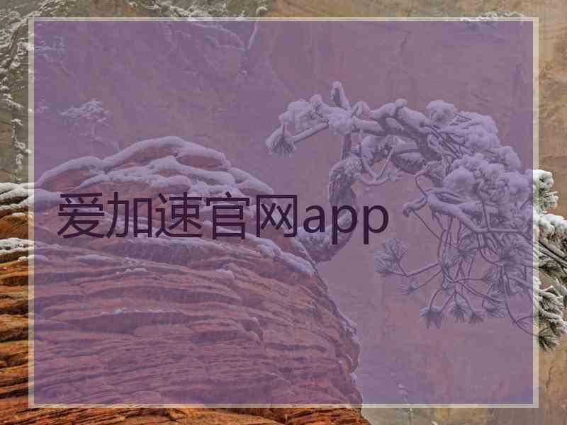 爱加速官网app