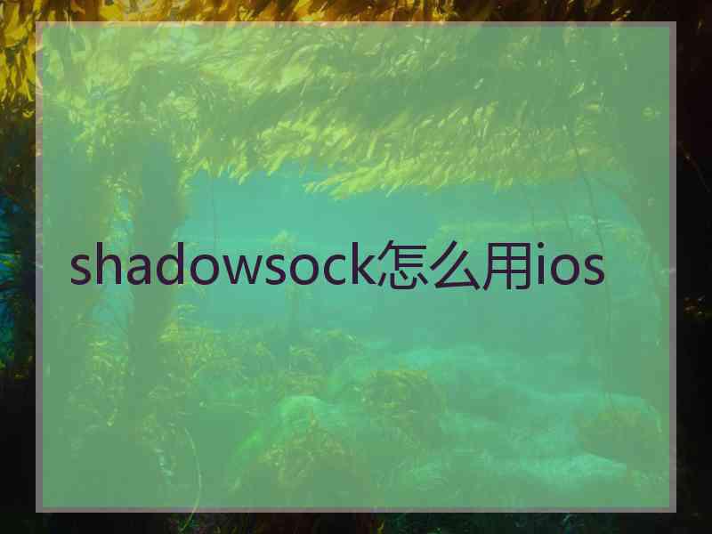 shadowsock怎么用ios