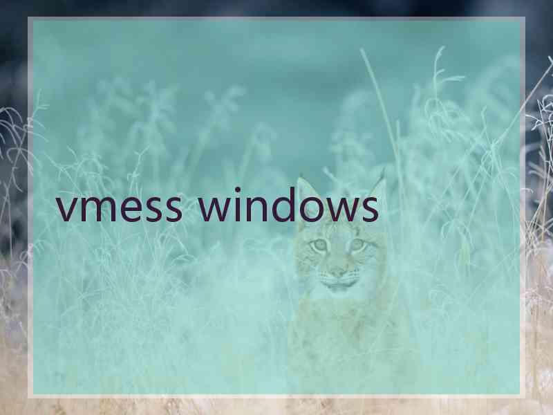 vmess windows