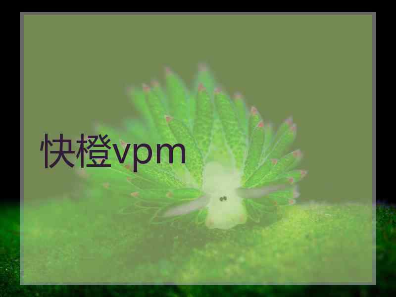 快橙vpm