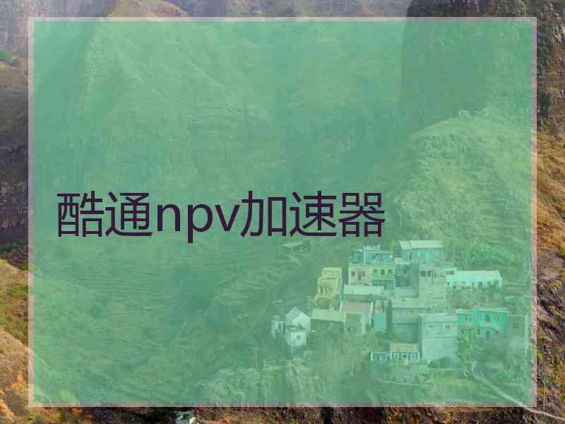 酷通npv加速器