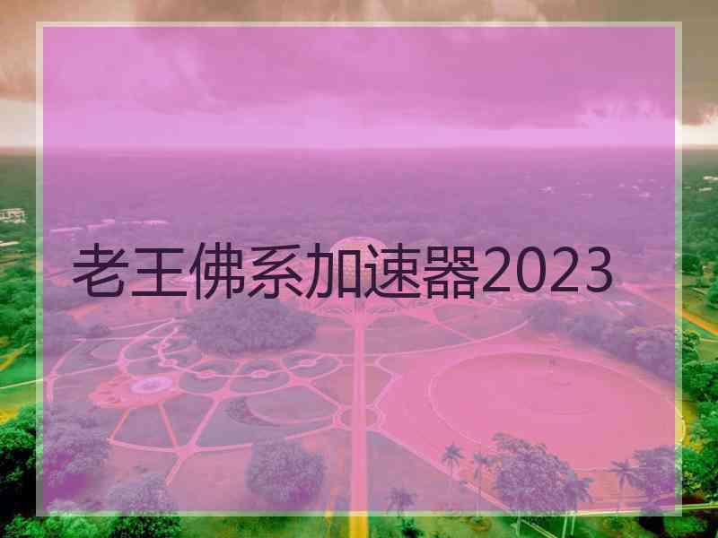 老王佛系加速器2023