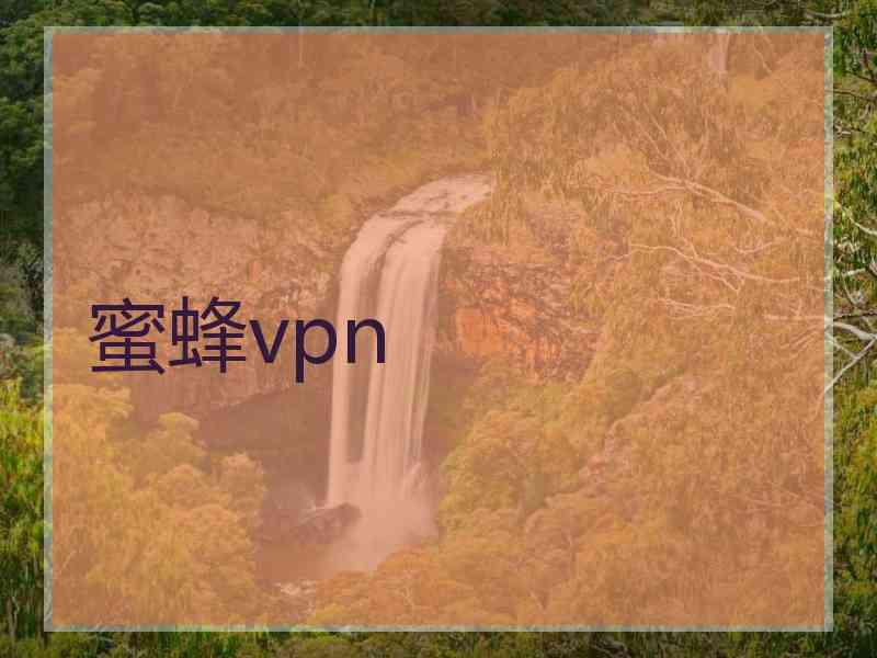 蜜蜂vpn