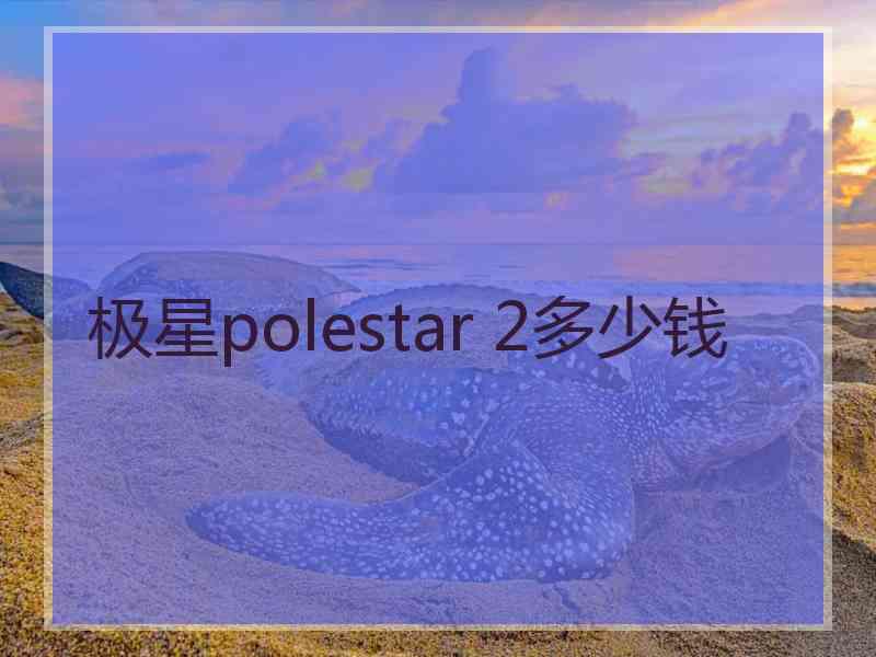 极星polestar 2多少钱