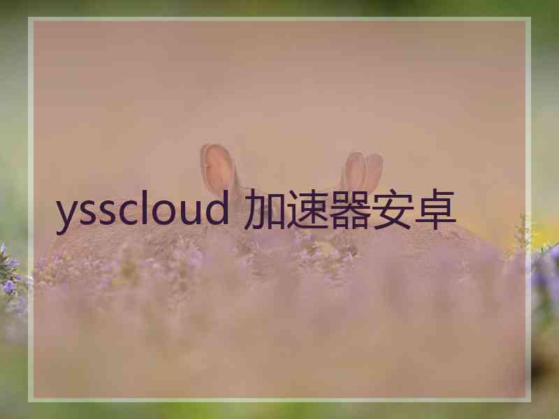 ysscloud 加速器安卓