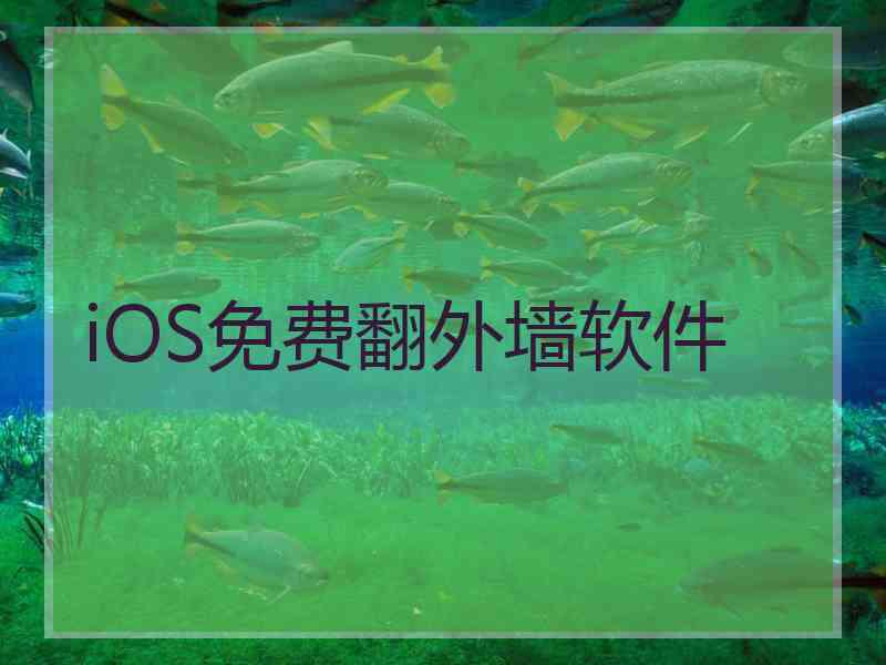 iOS免费翻外墙软件