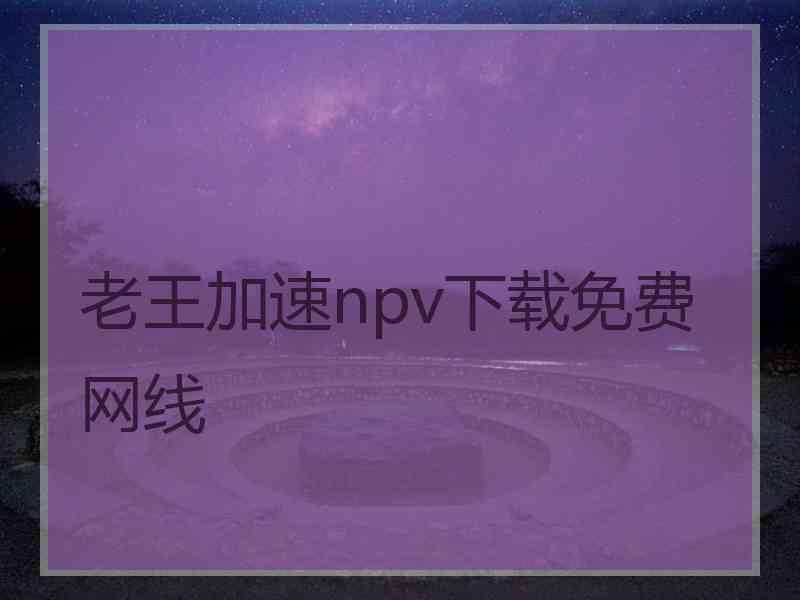 老王加速npv下载免费网线