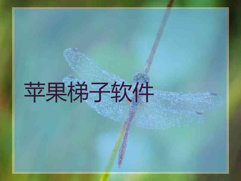 苹果梯子软件