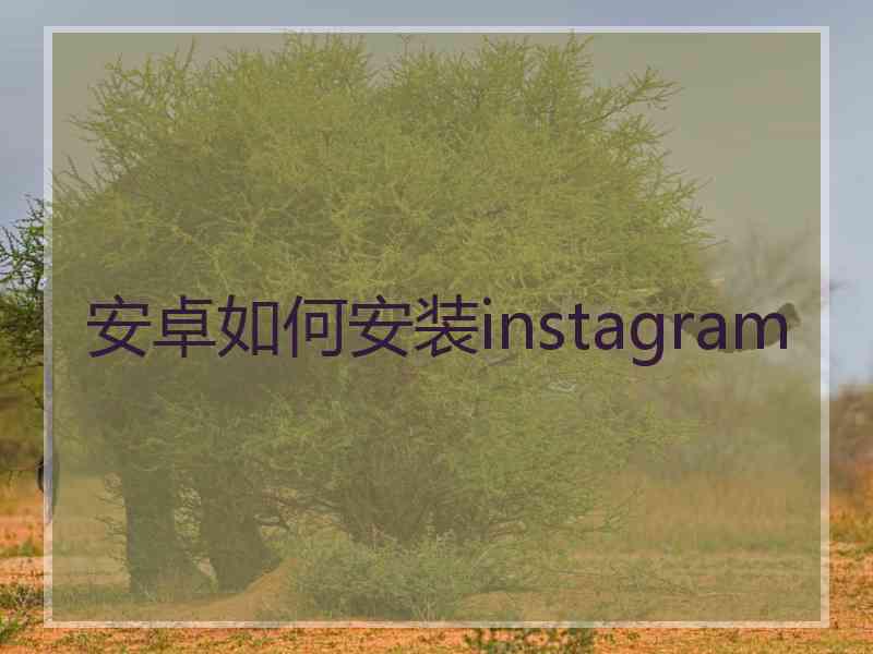 安卓如何安装instagram