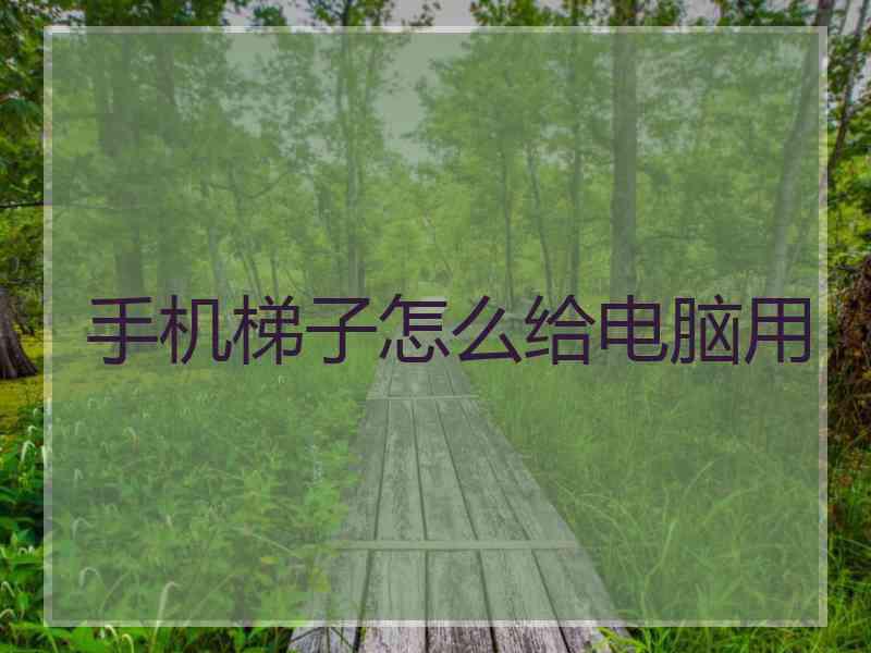 手机梯子怎么给电脑用